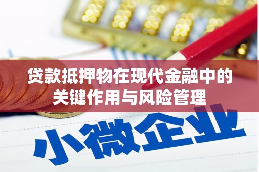海盐贷款抵押物在现代金融中的关键作用与风险管理