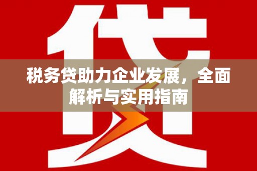 海盐税务贷助力企业发展，全面解析与实用指南