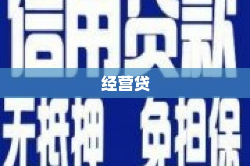 海盐经营贷