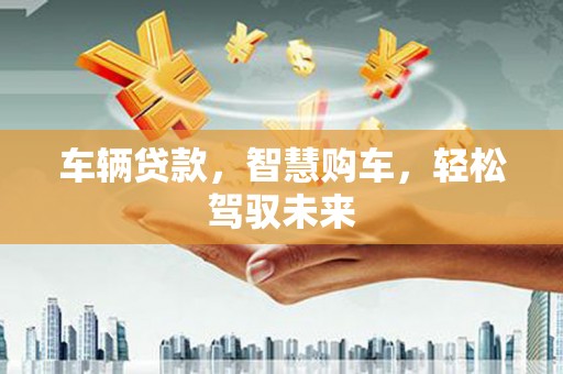 海盐车辆贷款，智慧购车，轻松驾驭未来