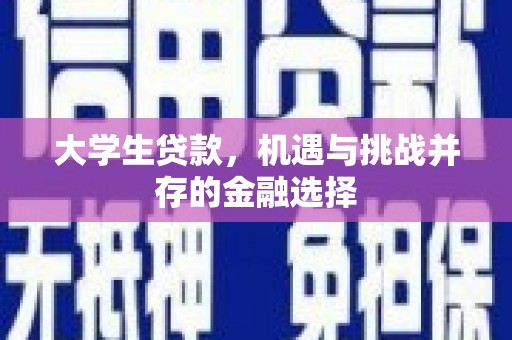 海盐大学生贷款，机遇与挑战并存的金融选择