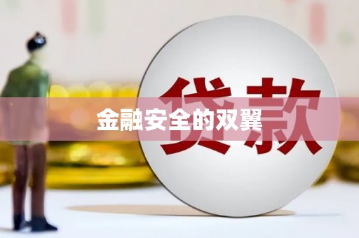 海盐金融安全的双翼