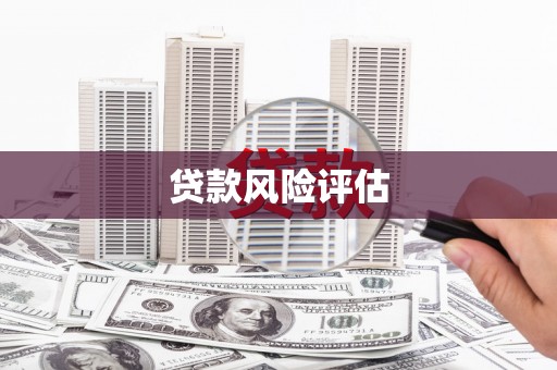 海盐贷款风险评估