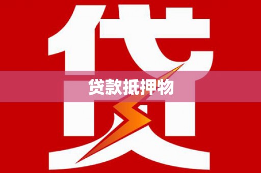 海盐贷款抵押物