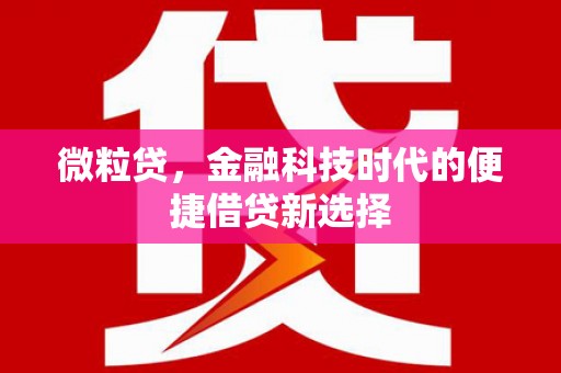 海盐微粒贷，金融科技时代的便捷借贷新选择