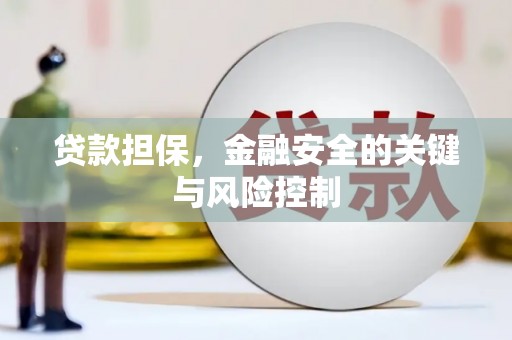 海盐贷款担保，金融安全的关键与风险控制