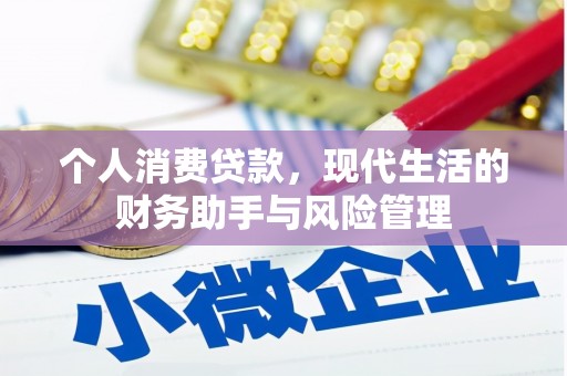 海盐个人消费贷款，现代生活的财务助手与风险管理