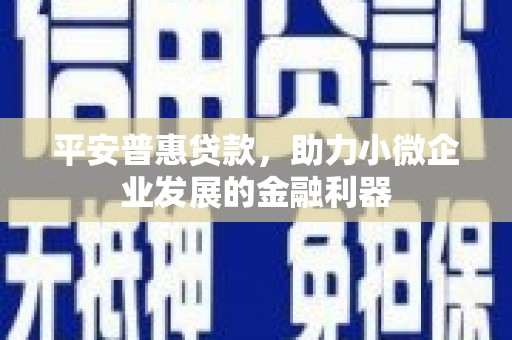 海盐平安普惠贷款，助力小微企业发展的金融利器