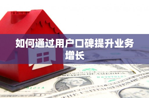 海盐如何通过用户口碑提升业务增长