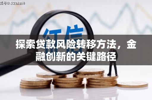 海盐探索贷款风险转移方法，金融创新的关键路径