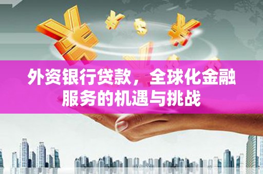 海盐外资银行贷款，全球化金融服务的机遇与挑战