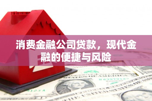 海盐消费金融公司贷款，现代金融的便捷与风险