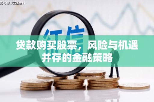 海盐贷款购买股票，风险与机遇并存的金融策略