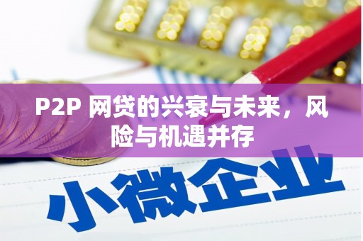海盐P2P 网贷的兴衰与未来，风险与机遇并存