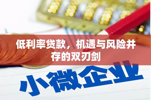 海盐低利率贷款，机遇与风险并存的双刃剑