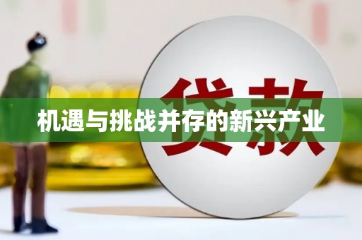 海盐机遇与挑战并存的新兴产业