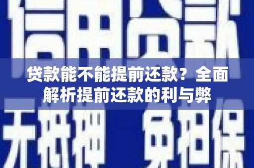 海盐贷款能不能提前还款？全面解析提前还款的利与弊