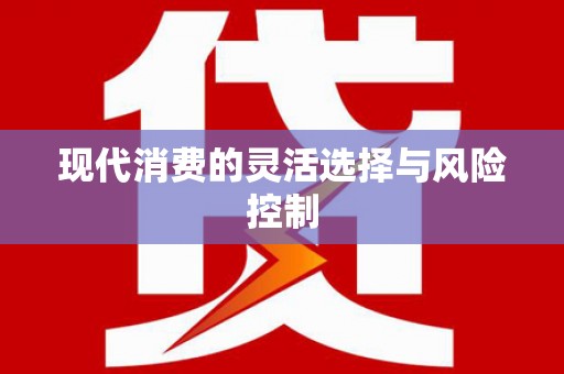 海盐现代消费的灵活选择与风险控制