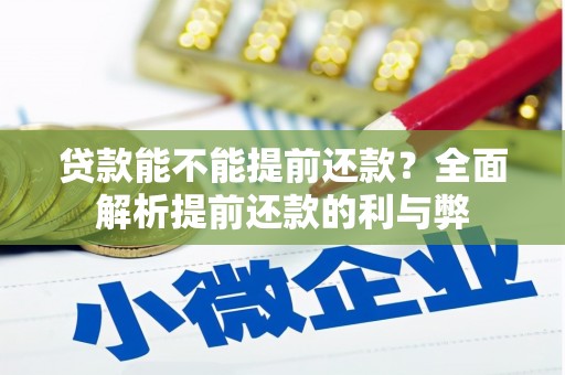 海盐贷款能不能提前还款？全面解析提前还款的利与弊