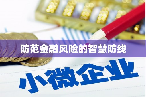 海盐防范金融风险的智慧防线