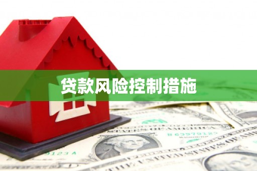 海盐贷款风险控制措施