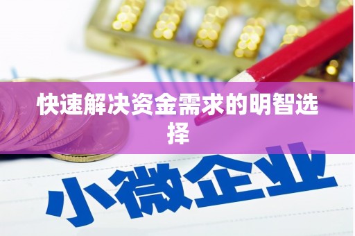 海盐快速解决资金需求的明智选择