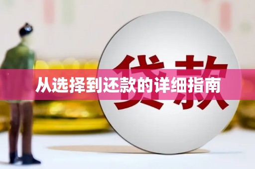 海盐从选择到还款的详细指南