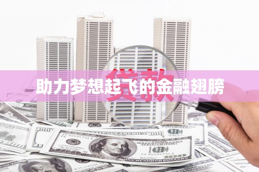 海盐助力梦想起飞的金融翅膀
