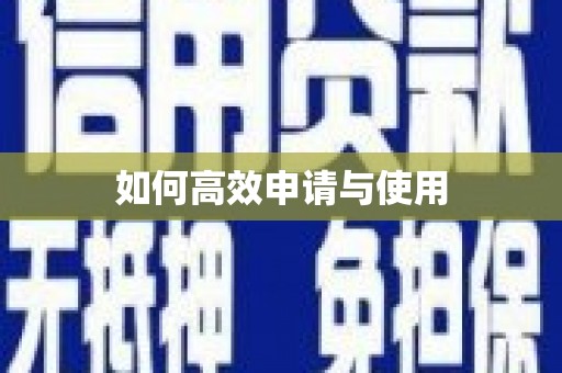 海盐如何高效申请与使用