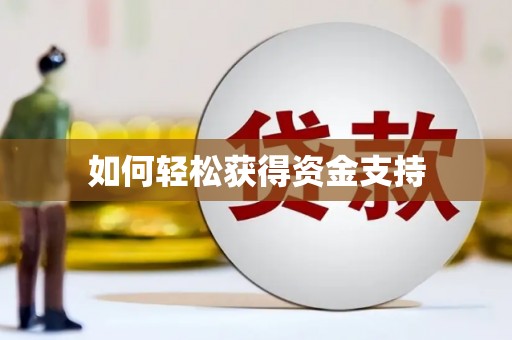 海盐如何轻松获得资金支持