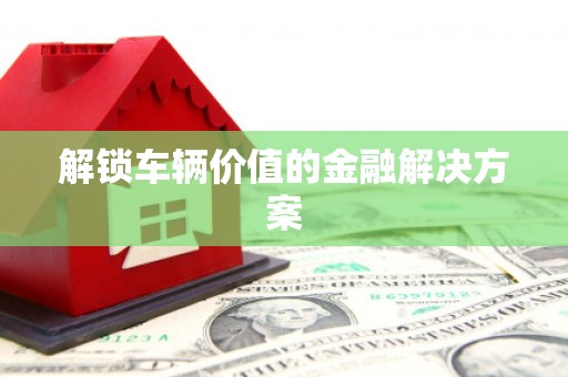 海盐解锁车辆价值的金融解决方案