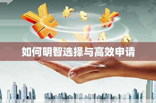 海盐如何明智选择与高效申请