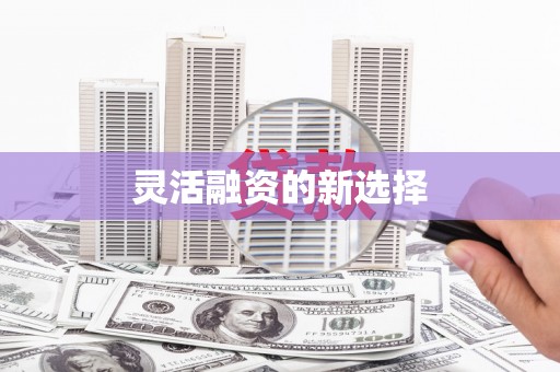 海盐灵活融资的新选择