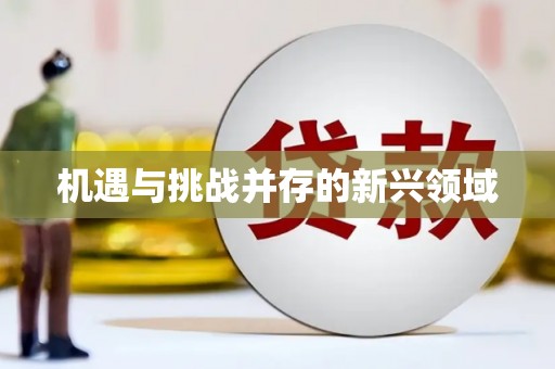 海盐机遇与挑战并存的新兴领域