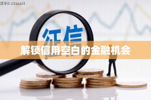 海盐解锁信用空白的金融机会