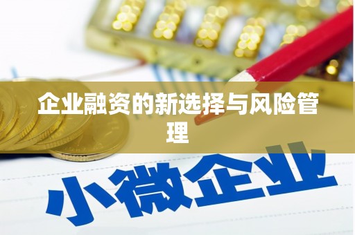 海盐企业融资的新选择与风险管理
