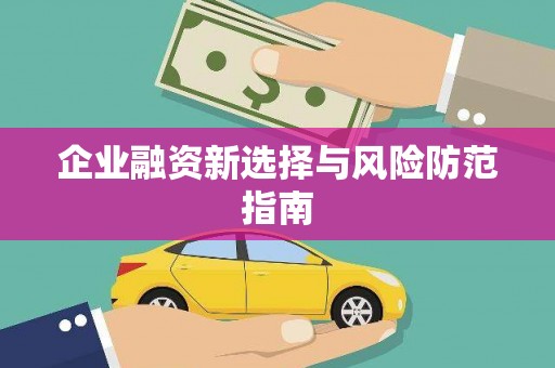 海盐企业融资新选择与风险防范指南