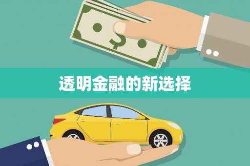 海盐透明金融的新选择