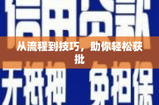 海盐从流程到技巧，助你轻松获批