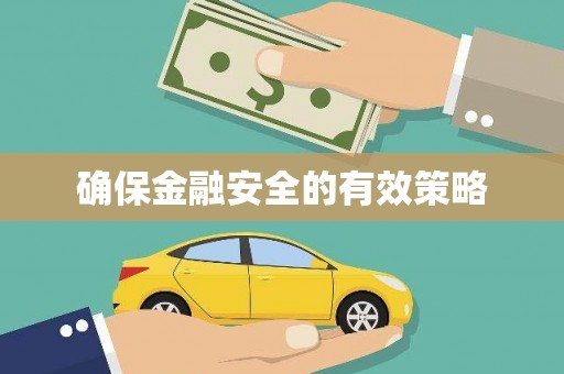 海盐确保金融安全的有效策略