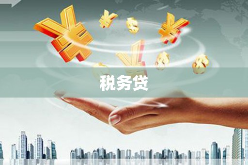 海盐税务贷