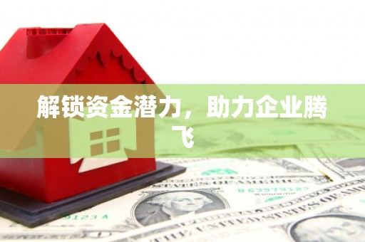海盐解锁资金潜力，助力企业腾飞