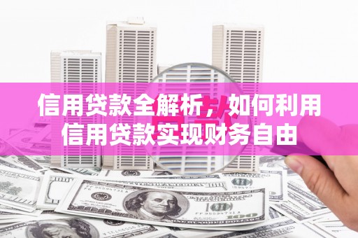 海盐信用贷款全解析，如何利用信用贷款实现财务自由