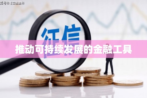 海盐推动可持续发展的金融工具