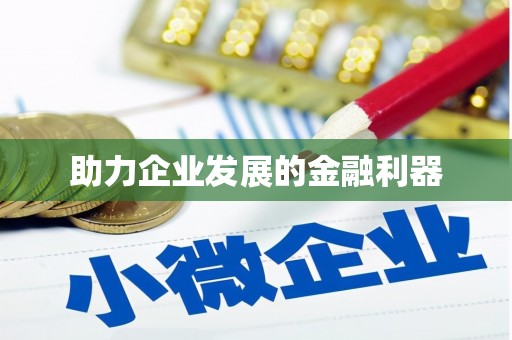 海盐助力企业发展的金融利器