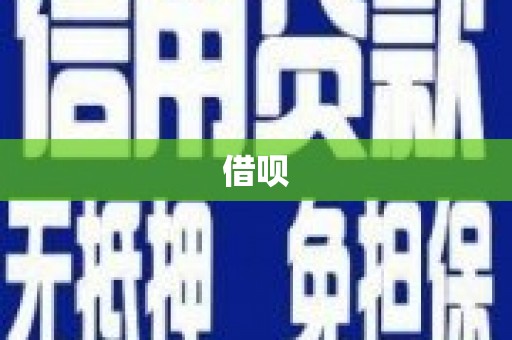 海盐借呗