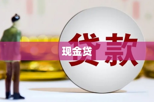 海盐现金贷