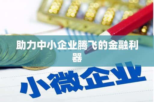 海盐助力中小企业腾飞的金融利器