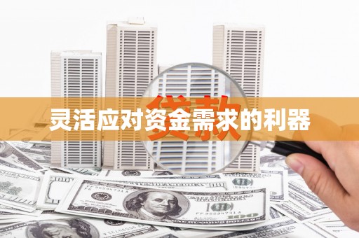 海盐灵活应对资金需求的利器