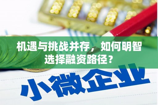 海盐机遇与挑战并存，如何明智选择融资路径？